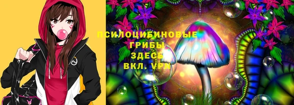 2c-b Алексеевка