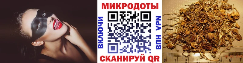 Псилоцибиновые грибы Cubensis  Красноармейск 